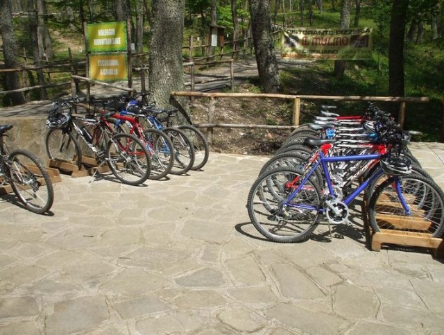 Noleggio Mountainbike